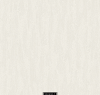 202400-1 RİSİNG RİSİNG 