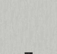 202400-3 RİSİNG RİSİNG 