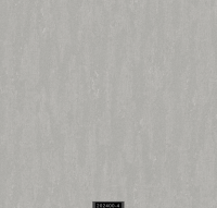 202400-4 RİSİNG RİSİNG 