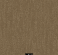 202400-6 RİSİNG RİSİNG 