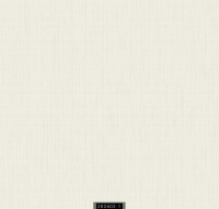 202402-1 RİSİNG RİSİNG 