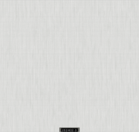 202402-3 RİSİNG RİSİNG 