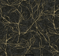 202403-6 RİSİNG RİSİNG 