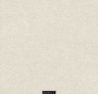 202404-2 RİSİNG RİSİNG 