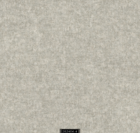 202404-4 RİSİNG RİSİNG 