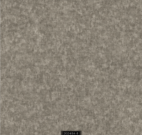 202404-6 RİSİNG RİSİNG 