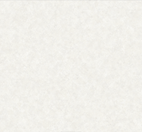 202405-1 RİSİNG RİSİNG 