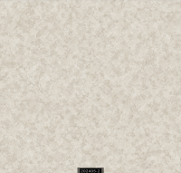 202405-2 RİSİNG RİSİNG 