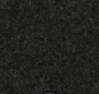 202405-6 RİSİNG RİSİNG 