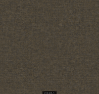 202406-5 RİSİNG RİSİNG 