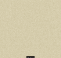 202407-3 RİSİNG RİSİNG 