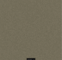 202407-5 RİSİNG RİSİNG 