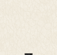 202409-1 RİSİNG RİSİNG 