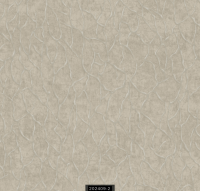 202409-2 RİSİNG RİSİNG 