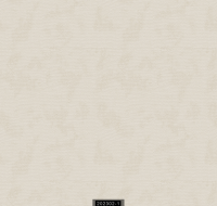 202302-1 LUMINOUS LUMINOUS 