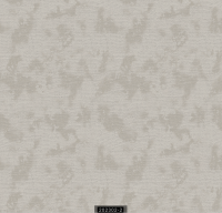 202302-2 LUMINOUS LUMINOUS 