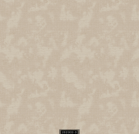 202302-3 LUMINOUS LUMINOUS 