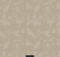 202302-4 LUMINOUS LUMINOUS 