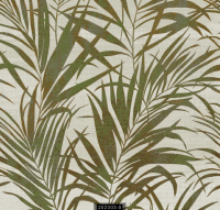 202303-0 LUMINOUS LUMINOUS 