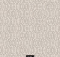 202305-1 LUMINOUS LUMINOUS 