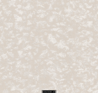 202306-2 LUMINOUS LUMINOUS 