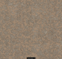 202306-5 LUMINOUS LUMINOUS 