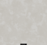 202309-1 LUMINOUS LUMINOUS 