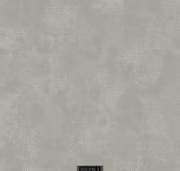 202309-3 LUMINOUS LUMINOUS 