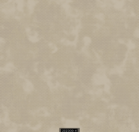 202309-4 LUMINOUS LUMINOUS 