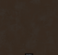 202309-5 LUMINOUS LUMINOUS 