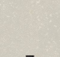 202310-1 LUMINOUS LUMINOUS 