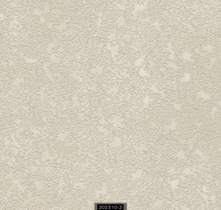 202310-2 LUMINOUS LUMINOUS 