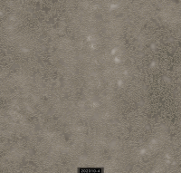 202310-4 LUMINOUS LUMINOUS 