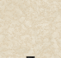 202311-2 LUMINOUS LUMINOUS 