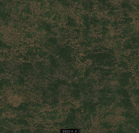 202311-3 LUMINOUS LUMINOUS 