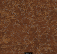 202311-6 LUMINOUS LUMINOUS 